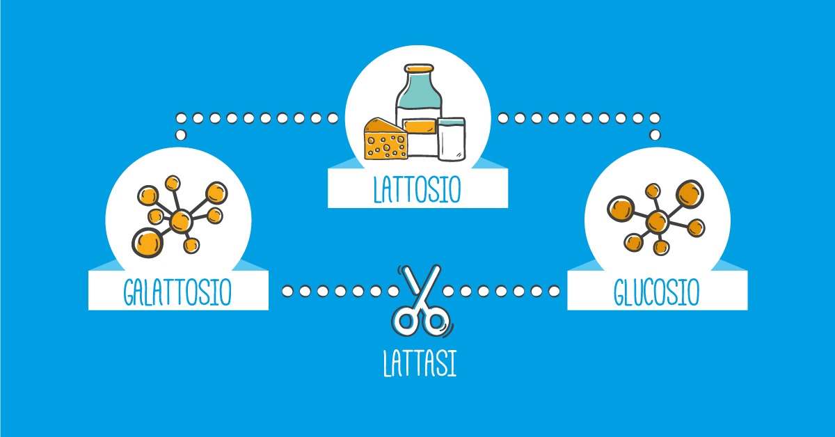 Guida pratica all'intolleranza al lattosio Guida pratica all'intolleranza al lattosio